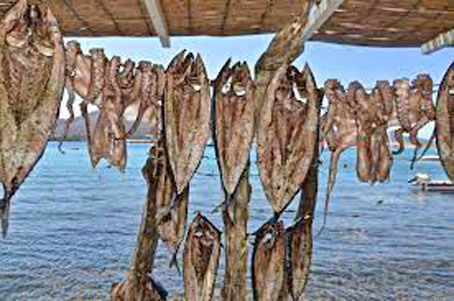 26 F3 (K3) GOYNA PAROY