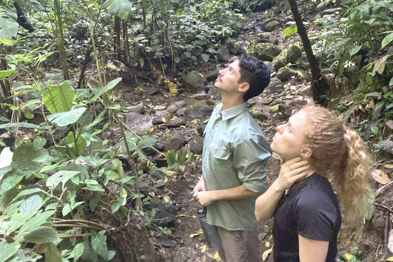 Μειώθηκε κατά 60% η ανθρώπινη επαφή με τη φύση